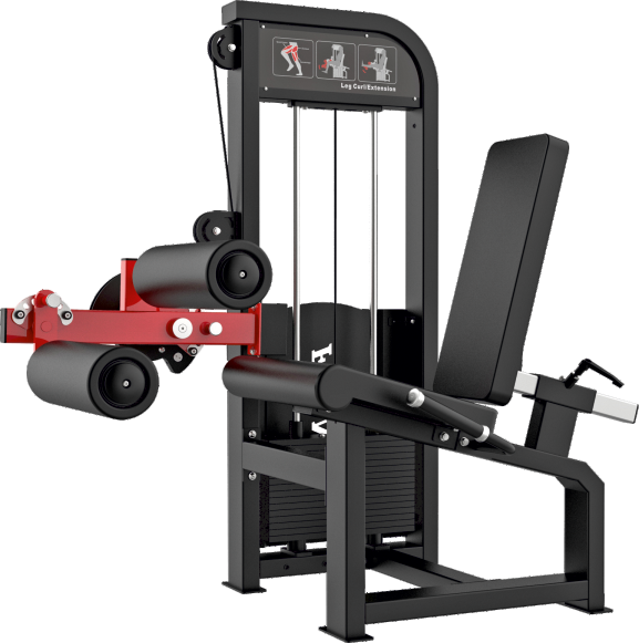LEG CURL / LEG EXTENSION
